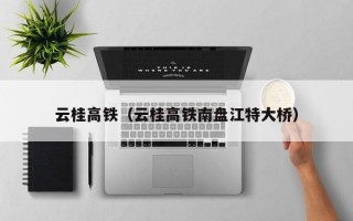 云桂高铁（云桂高铁南盘江特大桥）