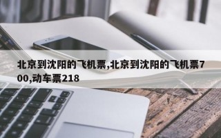 北京到沈阳的飞机票,北京到沈阳的飞机票700,动车票218