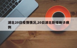 湖北20日疫情情况,20日湖北新增确诊病例