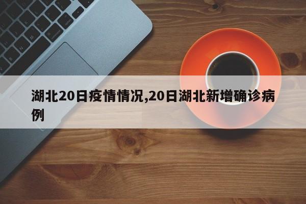 湖北20日疫情情况,20日湖北新增确诊病例-第1张图片-心情日记篇